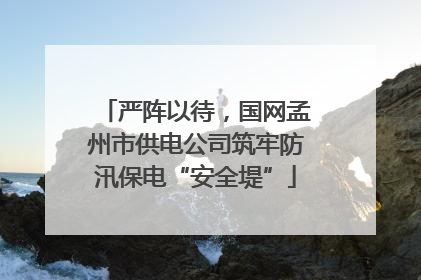 严阵以待，国网孟州市供电公司筑牢防汛保电“安全堤”