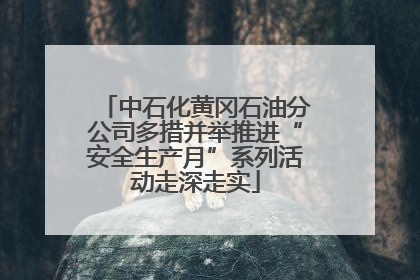 中石化黄冈石油分公司多措并举推进“安全生产月”系列活动走深走实