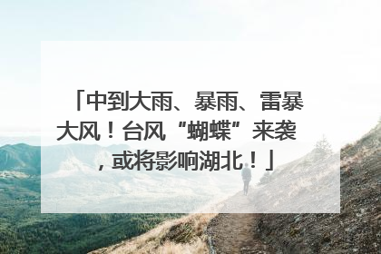 中到大雨、暴雨、雷暴大风！台风“蝴蝶”来袭，或将影响湖北！