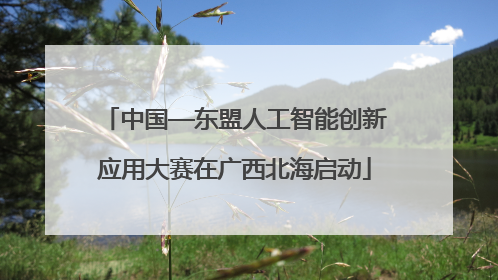 中国—东盟人工智能创新应用大赛在广西北海启动