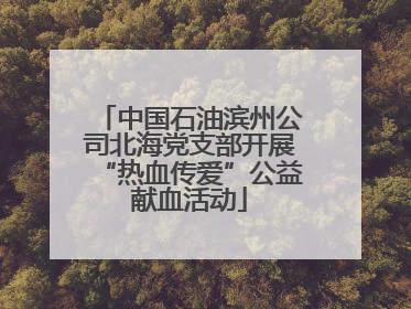 中国石油滨州公司北海党支部开展“热血传爱”公益献血活动
