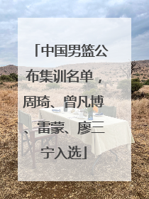 中国男篮公布集训名单，周琦、曾凡博、雷蒙、廖三宁入选