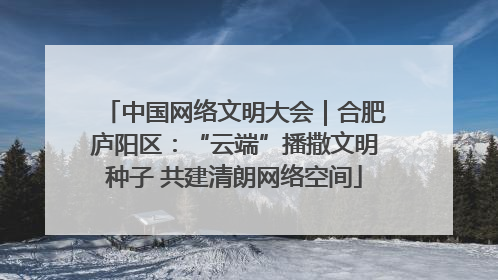 中国网络文明大会｜合肥庐阳区：“云端”播撒文明种子 共建清朗网络空间