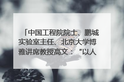 中国工程院院士、鹏城实验室主任、北京大学博雅讲席教授高文：“以人为本 智能向善” 推动文化与科技相生相促｜聚焦2025文化强国建设高峰论坛