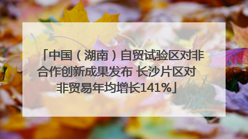 中国（湖南）自贸试验区对非合作创新成果发布 长沙片区对非贸易年均增长141%