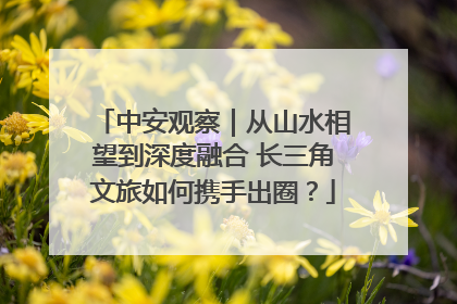 中安观察｜从山水相望到深度融合 长三角文旅如何携手出圈？