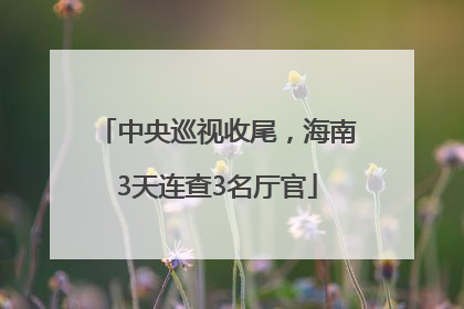 中央巡视收尾，海南3天连查3名厅官