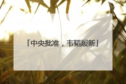 中央批准，韦韬履新