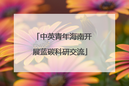 中英青年海南开展蓝碳科研交流