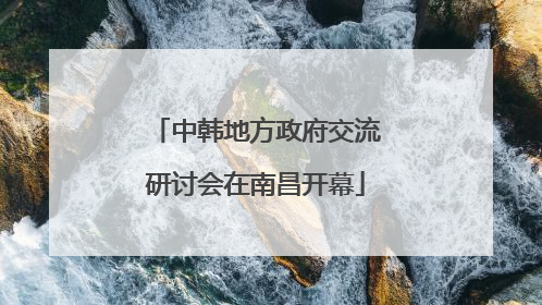 中韩地方政府交流研讨会在南昌开幕