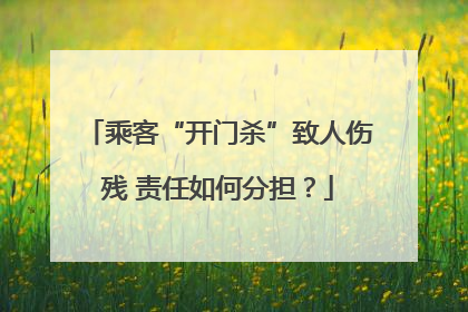乘客“开门杀”致人伤残 责任如何分担？