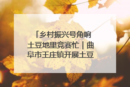 乡村振兴号角响 土豆地里竞赛忙｜曲阜市王庄镇开展土豆收获劳动竞赛