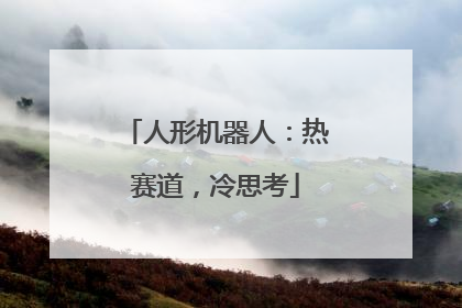 人形机器人：热赛道，冷思考