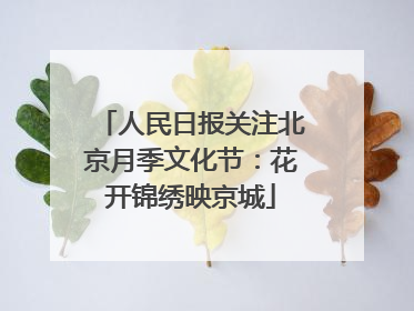 人民日报关注北京月季文化节：花开锦绣映京城