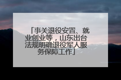 事关退役安置、就业创业等，山东出台法规明确退役军人服务保障工作