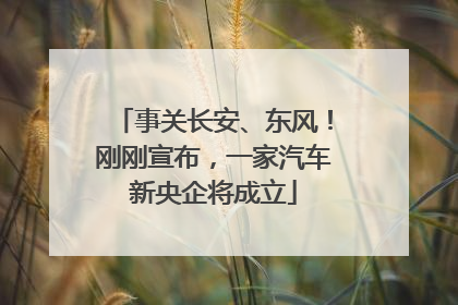 事关长安、东风！刚刚宣布，一家汽车新央企将成立