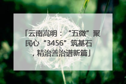 云南嵩明：“五微”聚民心“3456”筑基石，精治善治谱新篇