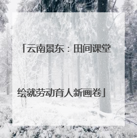 云南景东：田间课堂绘就劳动育人新画卷