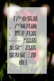 产业筑基、产城共融、携手共富——“品质龙泉”高质量发展三部曲
