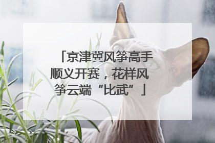 京津冀风筝高手顺义开赛，花样风筝云端“比武”