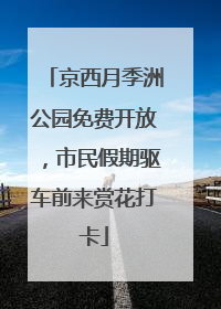 京西月季洲公园免费开放，市民假期驱车前来赏花打卡