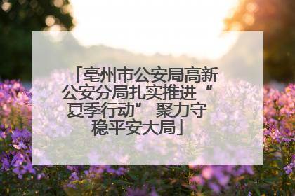 亳州市公安局高新公安分局扎实推进“夏季行动” 聚力守稳平安大局