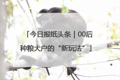今日报纸头条｜00后种粮大户的“新玩法”