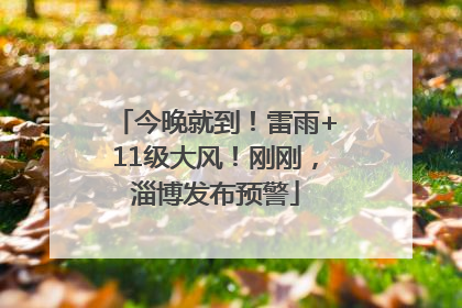今晚就到！雷雨+11级大风！刚刚，淄博发布预警