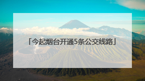 今起烟台开通5条公交线路