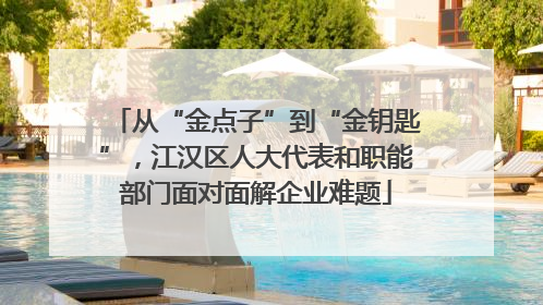 从“金点子”到“金钥匙”，江汉区人大代表和职能部门面对面解企业难题