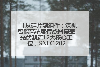 从硅片到组件：深视智能高精度传感器覆盖光伏制造12大核心工位，SNEC 2025诚邀见证