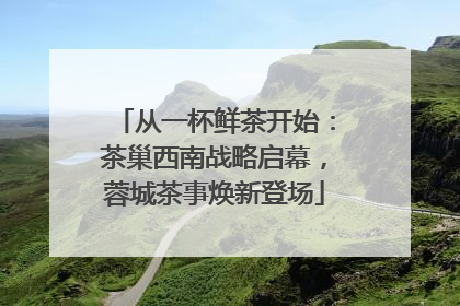 从一杯鲜茶开始：茶巢西南战略启幕，蓉城茶事焕新登场