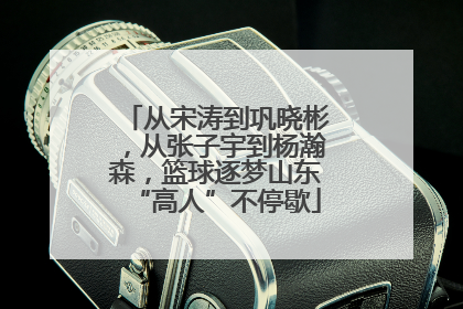 从宋涛到巩晓彬，从张子宇到杨瀚森，篮球逐梦山东“高人”不停歇