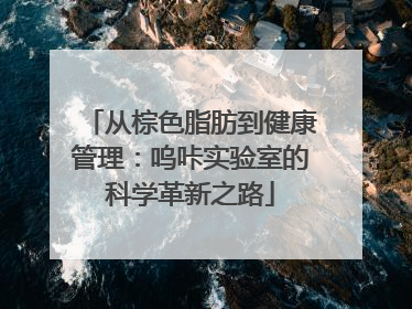 从棕色脂肪到健康管理：呜咔实验室的科学革新之路