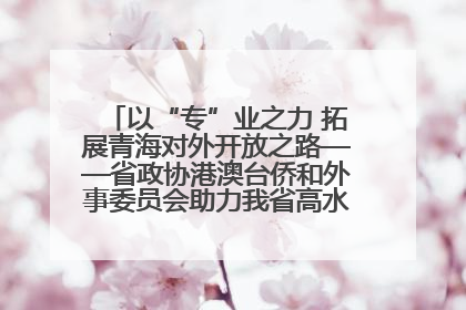 以“专”业之力 拓展青海对外开放之路——省政协港澳台侨和外事委员会助力我省高水平开放和高质量发展