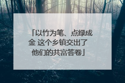 以竹为笔、点绿成金 这个乡镇交出了他们的共富答卷