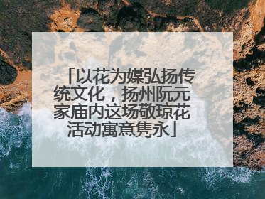以花为媒弘扬传统文化，扬州阮元家庙内这场敬琼花活动寓意隽永