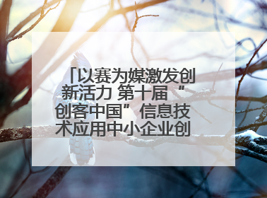 以赛为媒激发创新活力 第十届“创客中国”信息技术应用中小企业创新创业大赛举行