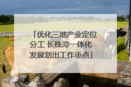 优化三地产业定位分工 长株潭一体化发展划出工作重点