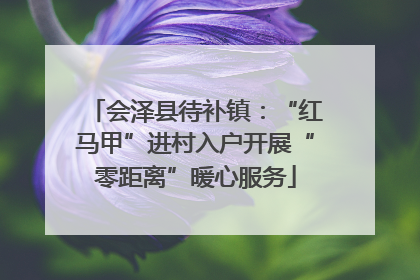 会泽县待补镇：“红马甲”进村入户开展“零距离”暖心服务
