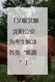 又暖又燃 沈阳公安为考生解决各类“难题”