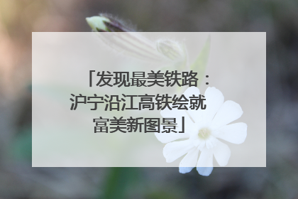 发现最美铁路：沪宁沿江高铁绘就富美新图景