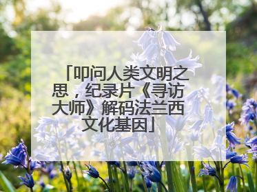 叩问人类文明之思，纪录片《寻访大师》解码法兰西文化基因