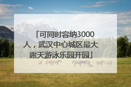 可同时容纳3000人，武汉中心城区最大露天游泳乐园开园