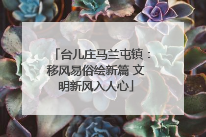 台儿庄马兰屯镇：移风易俗绘新篇 文明新风入人心