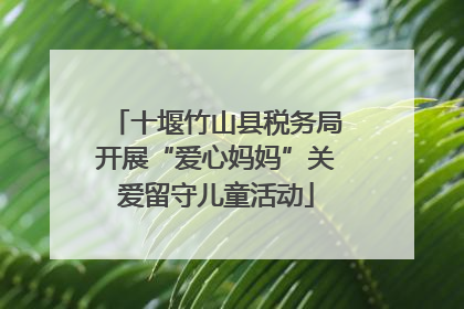 十堰竹山县税务局开展“爱心妈妈”关爱留守儿童活动