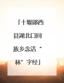 十堰郧西县湖北口回族乡念活“林”字经