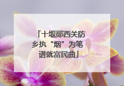 十堰郧西关防乡执“烟”为笔 谱就富民曲