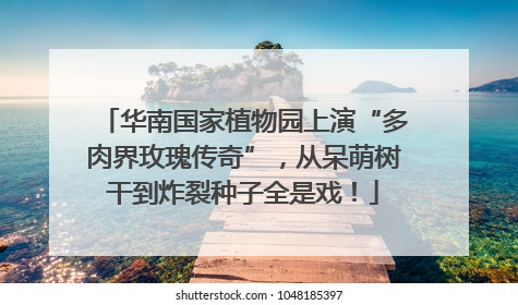 华南国家植物园上演“多肉界玫瑰传奇”，从呆萌树干到炸裂种子全是戏！