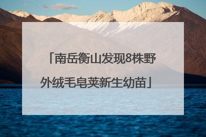 南岳衡山发现8株野外绒毛皂荚新生幼苗